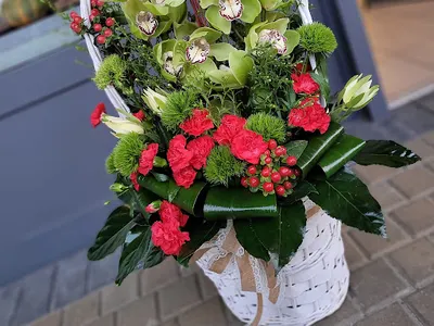 Kwiaciarnia Słupsk Villa Flowers CH JANTAR